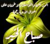 Waleed Hassan In   