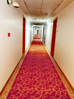 Apartment For Rent In Jumeirah - Dubai - Dubai