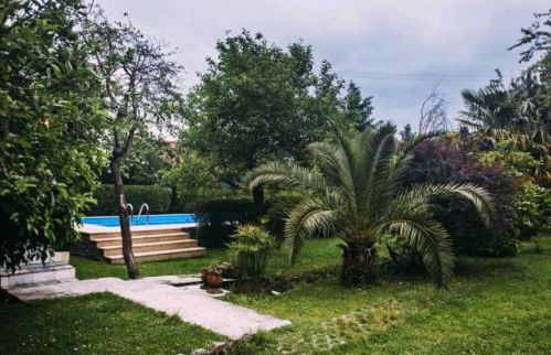Villa For Rent In Sapanga - Sakarya