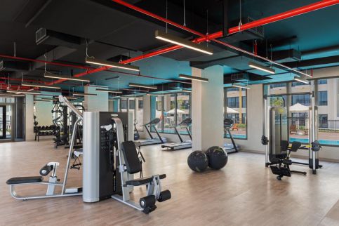 Apartment For Rent In Dubai