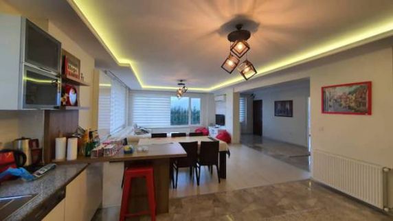 Villa For Rent In Sapanga - Sakarya